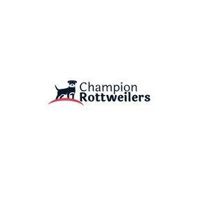 Champion Rottweilers`