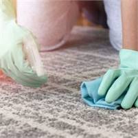 AandB Carpet Cleaners AandB AandB Carpet Cleaners