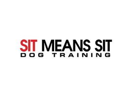  Sit Means Sit Dog Training Albuquerque